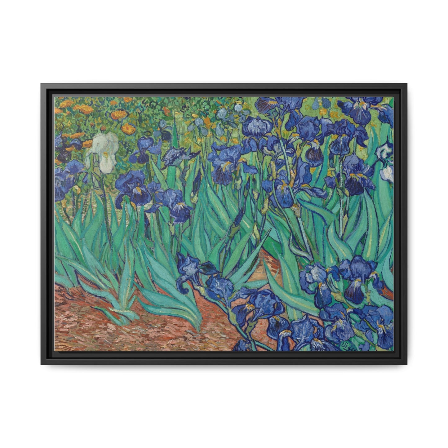 Irises 1889 - Van Gogh, Matte Canvas, Black Frame