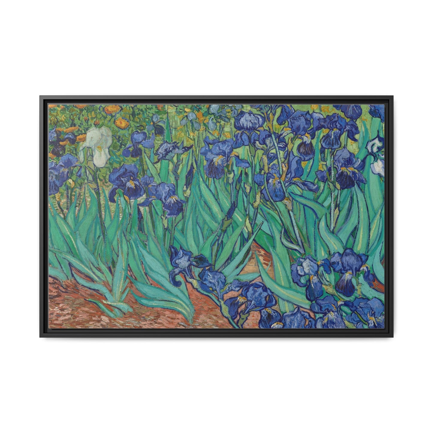 Irises 1889 - Van Gogh, Matte Canvas, Black Frame