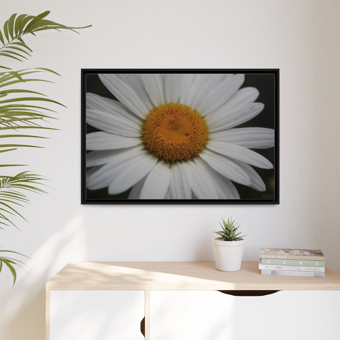 Daisy, Matte Canvas, Black Frame