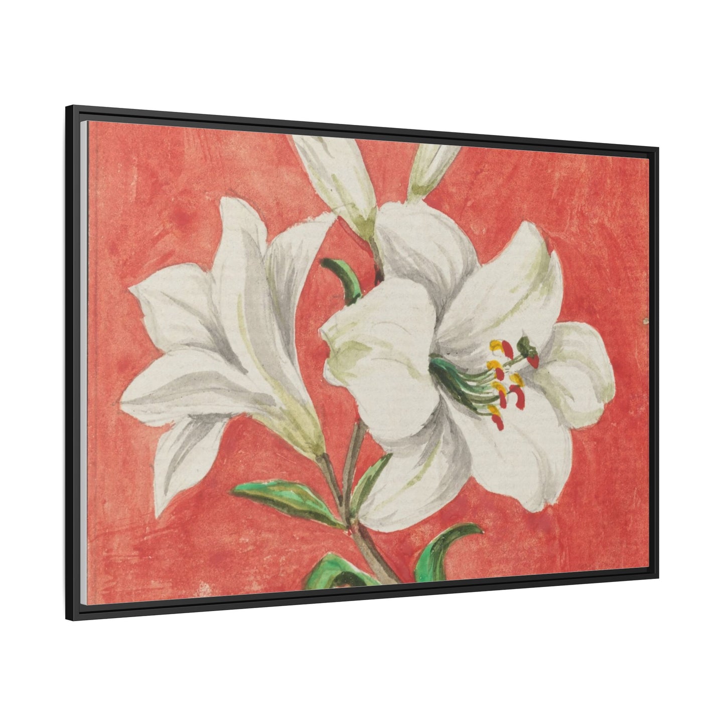 White Lily - Unknown Artist Matte Canvas, Black Frame
