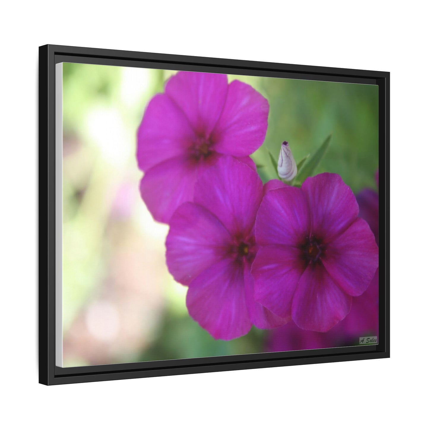 Magenta Flower, Matte Canvas, Black Frame