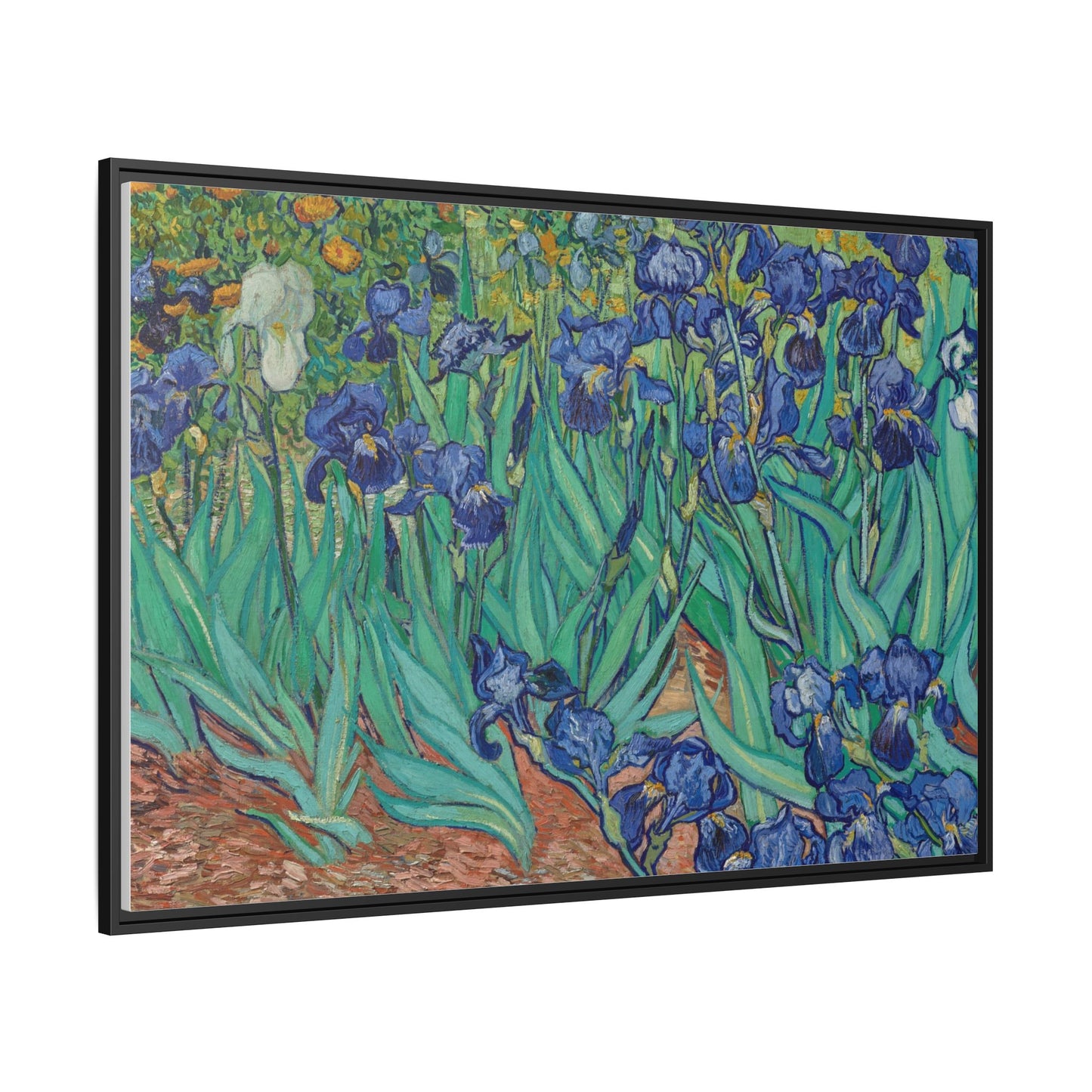 Irises 1889 - Van Gogh, Matte Canvas, Black Frame