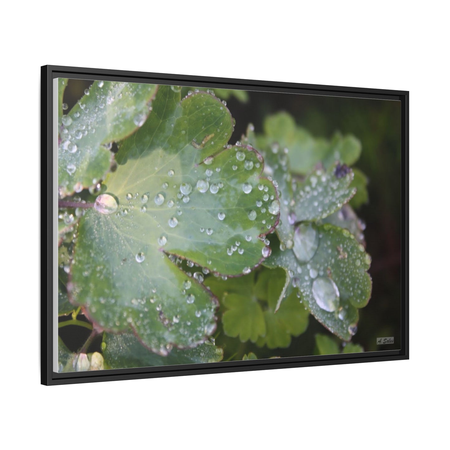 Water and Leaves, Matte Canvas, Black Frame