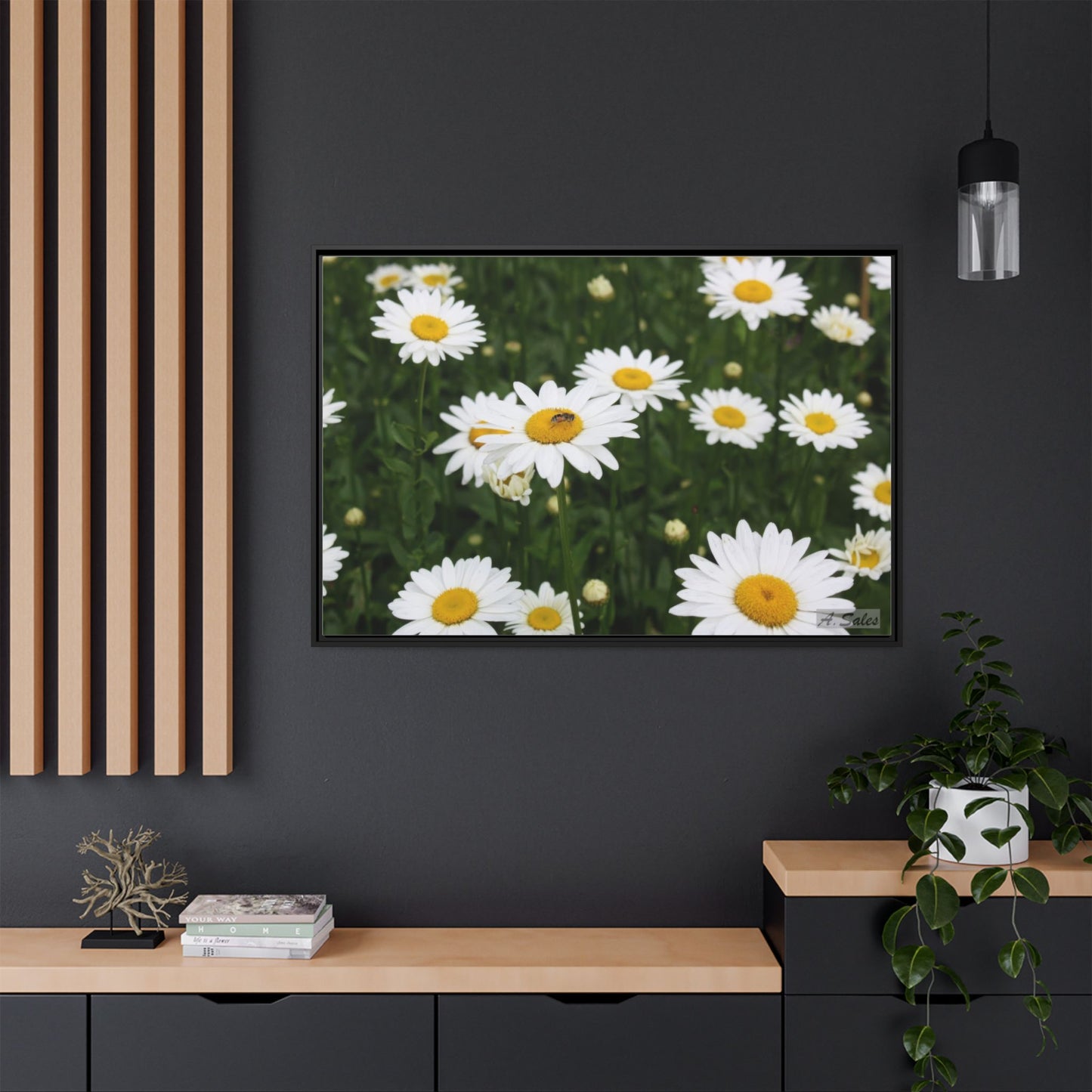 Field of Daisies, Matte Canvas, Black Frame