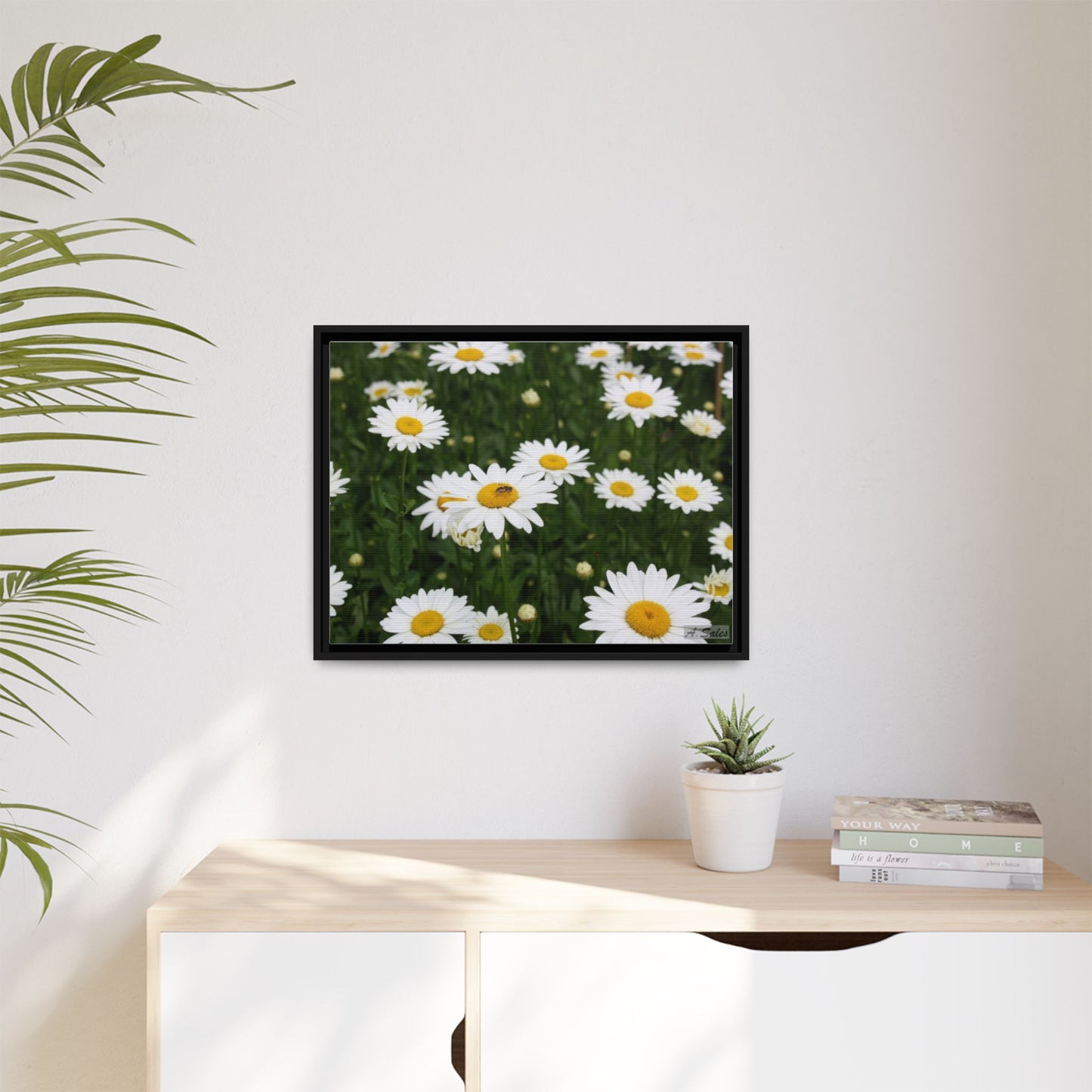 Field of Daisies, Matte Canvas, Black Frame