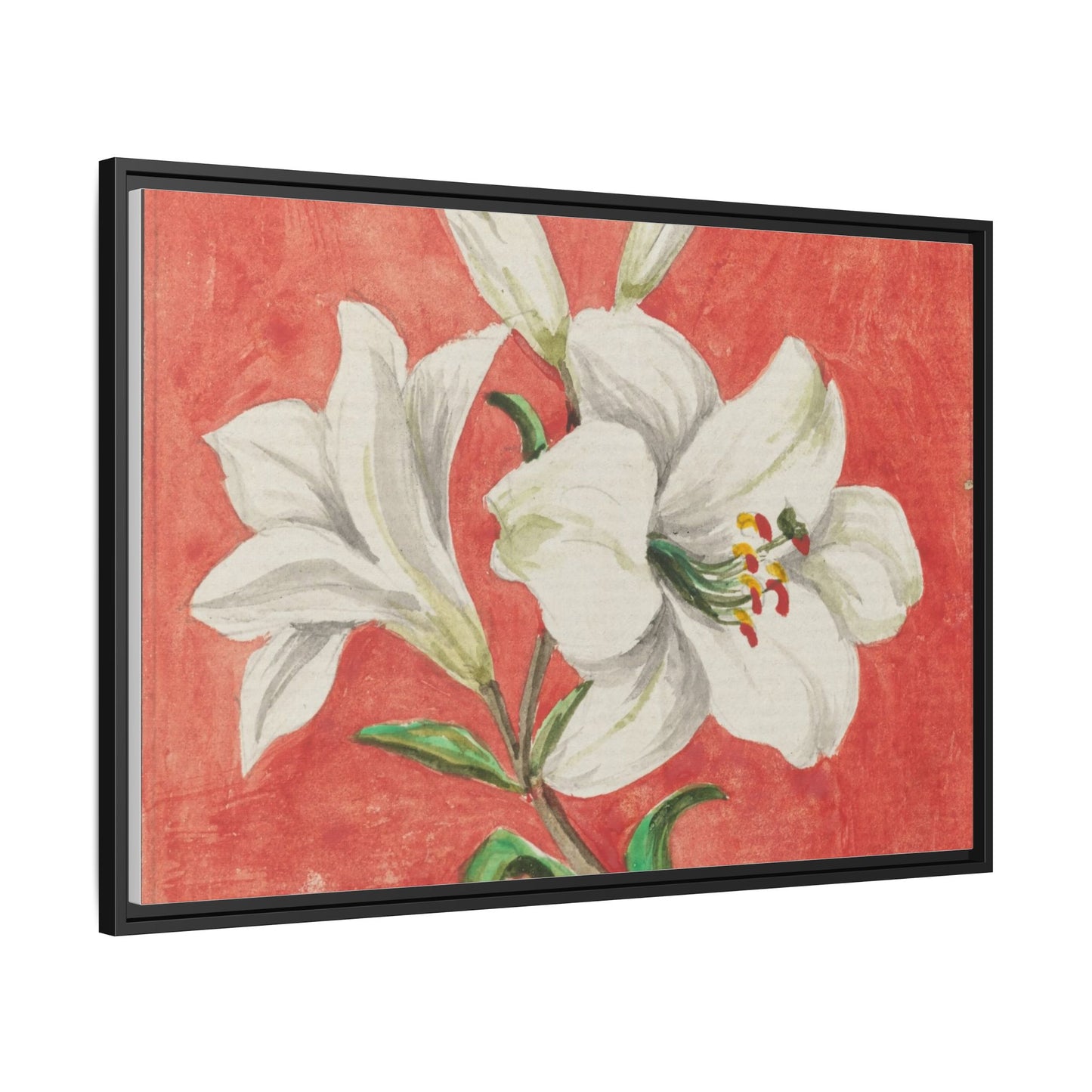 White Lily - Unknown Artist Matte Canvas, Black Frame