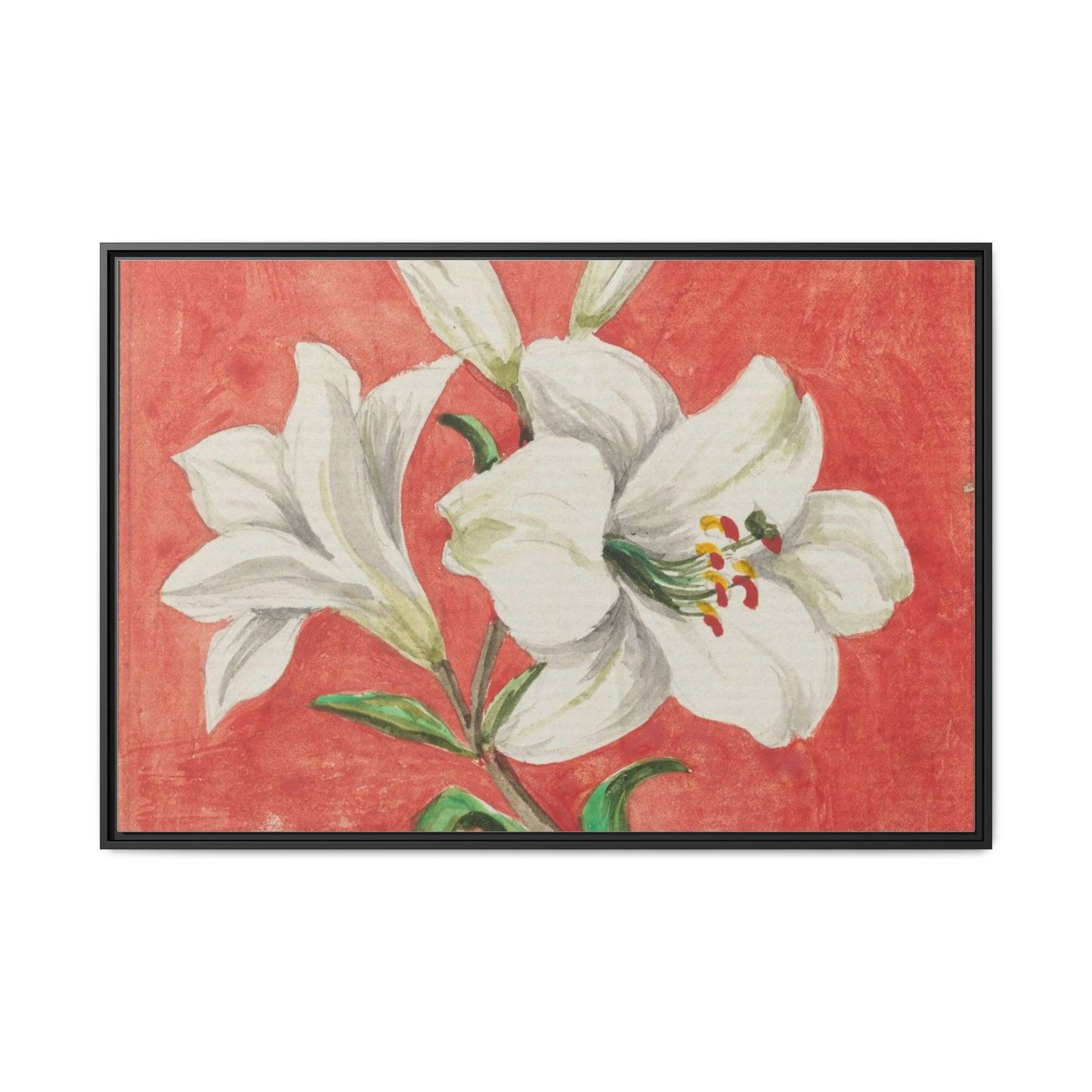 White Lily - Unknown Artist Matte Canvas, Black Frame