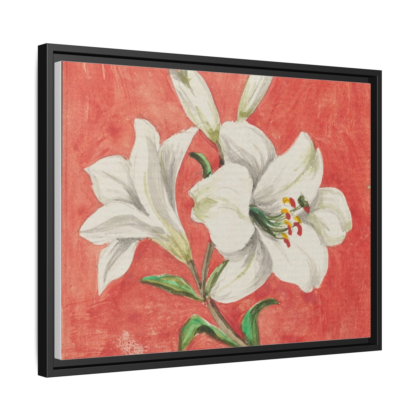 White Lily - Unknown Artist Matte Canvas, Black Frame