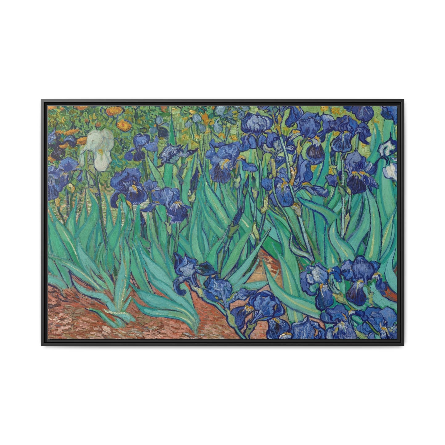 Irises 1889 - Van Gogh, Matte Canvas, Black Frame