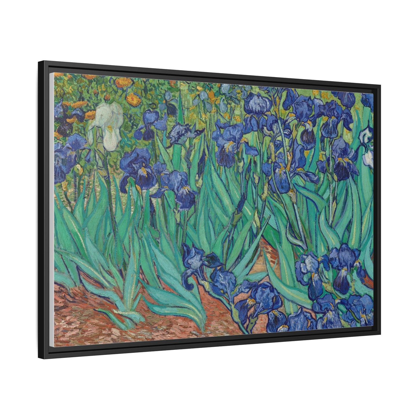 Irises 1889 - Van Gogh, Matte Canvas, Black Frame