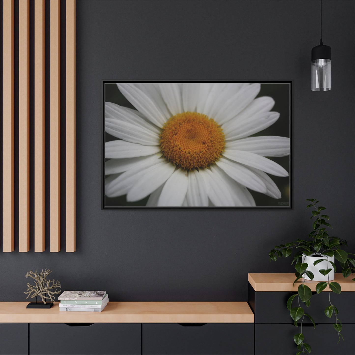 Daisy, Matte Canvas, Black Frame