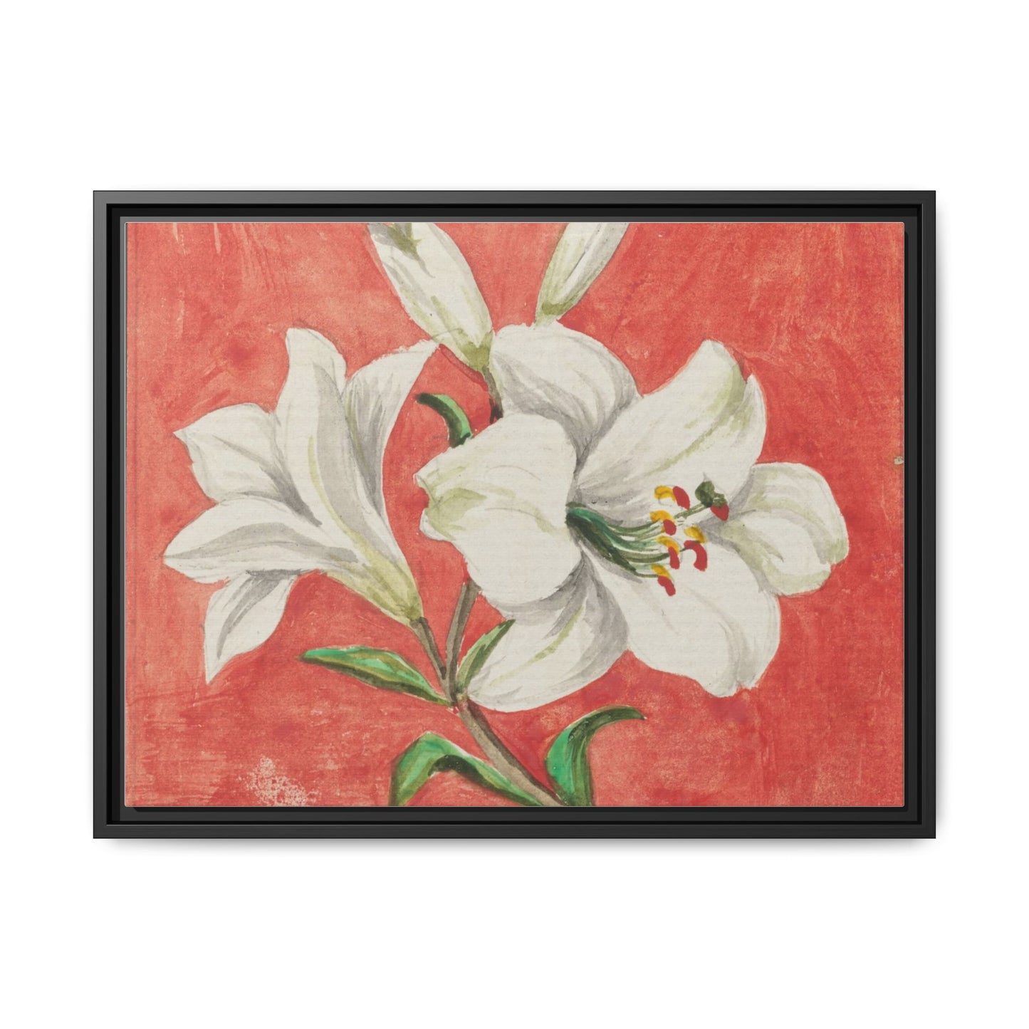 White Lily - Unknown Artist Matte Canvas, Black Frame