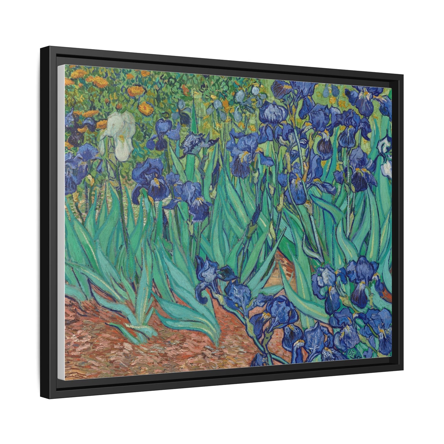 Irises 1889 - Van Gogh, Matte Canvas, Black Frame
