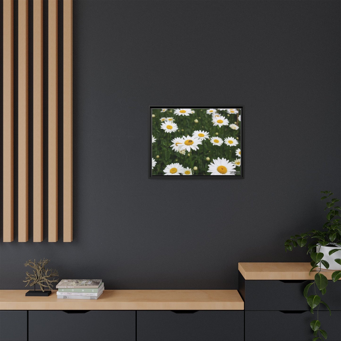 Field of Daisies, Matte Canvas, Black Frame