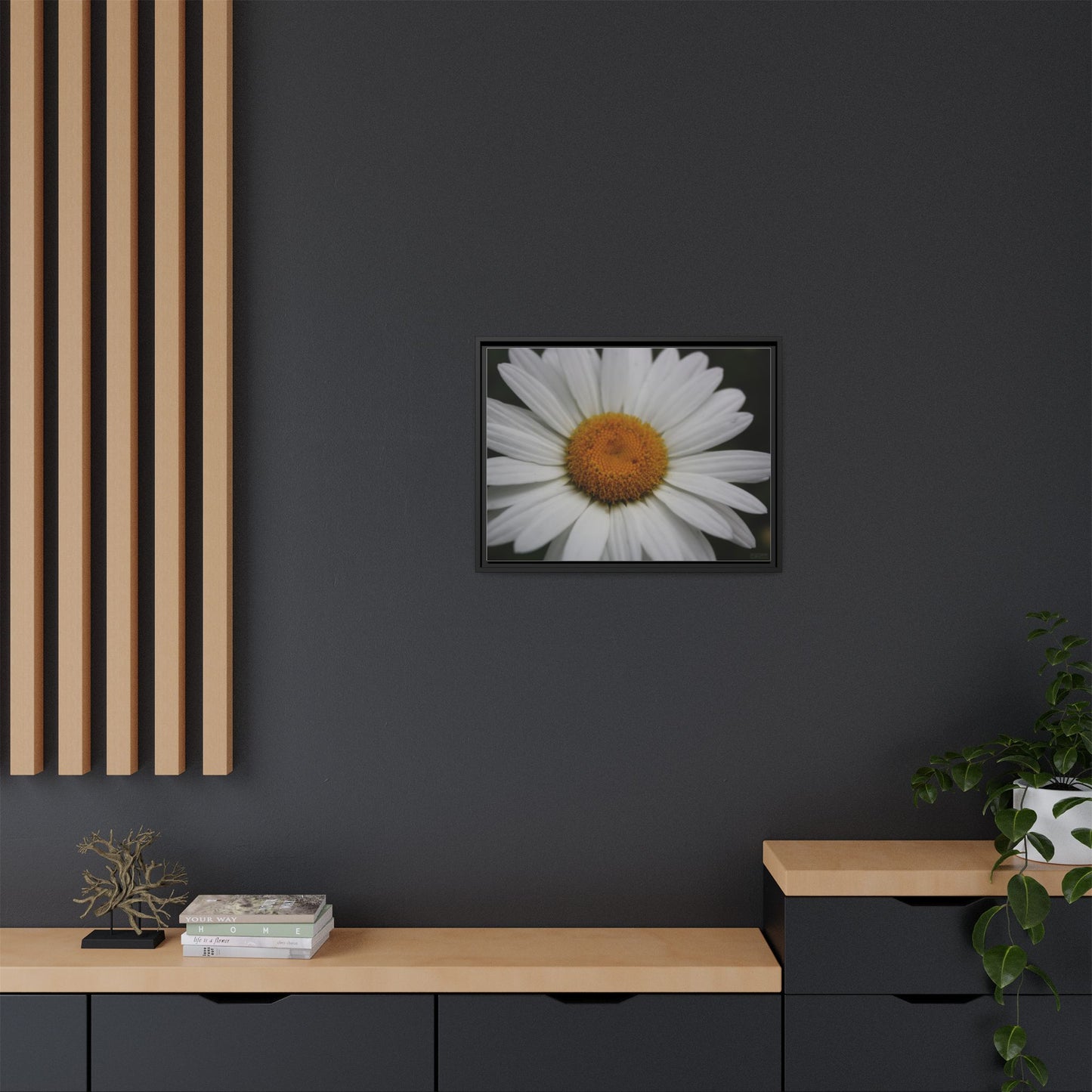 Daisy, Matte Canvas, Black Frame