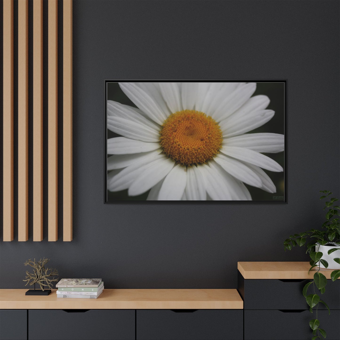 Daisy, Matte Canvas, Black Frame