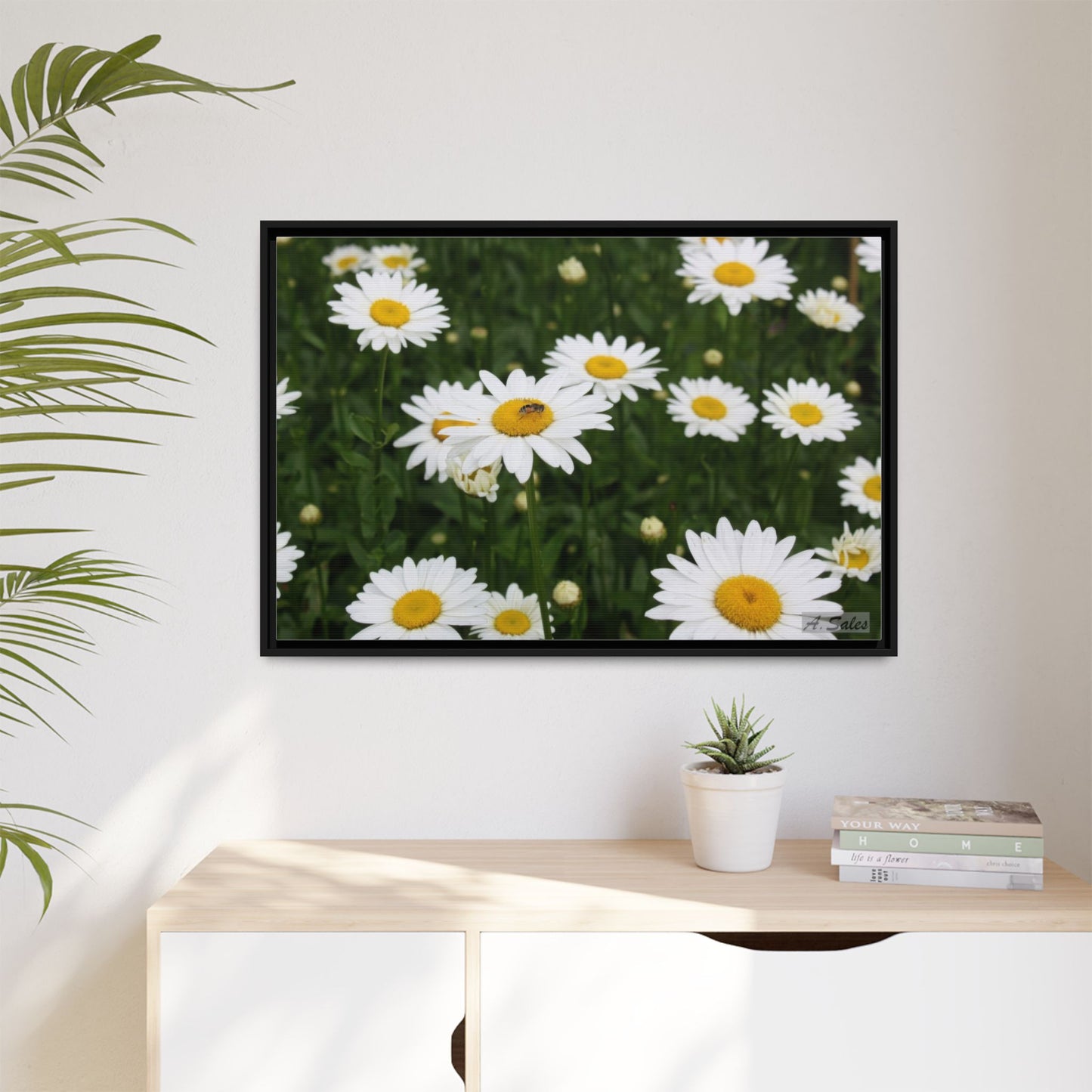 Field of Daisies, Matte Canvas, Black Frame