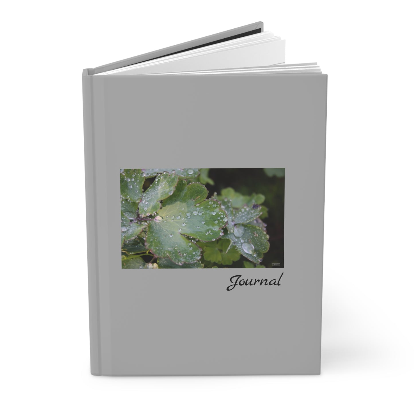 Water and Leaves - Journal