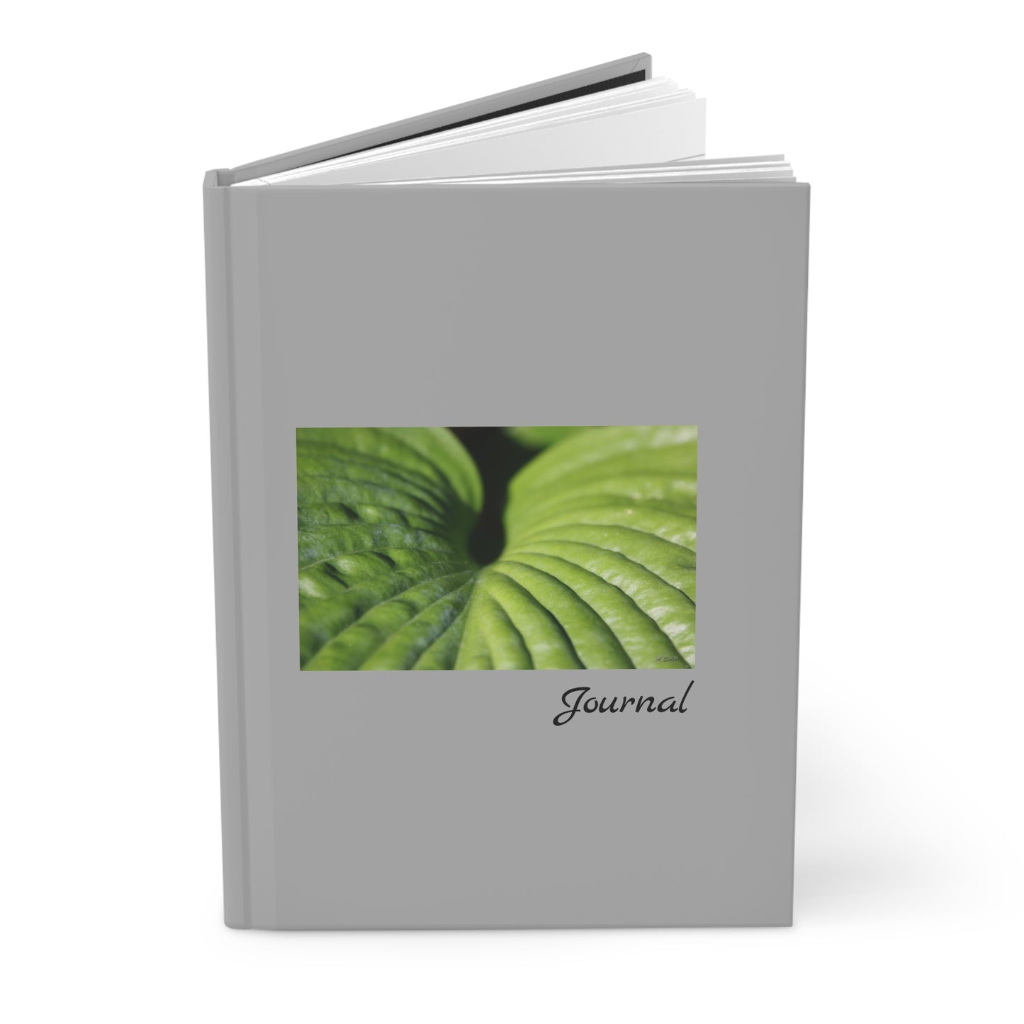Leaf  - Journal