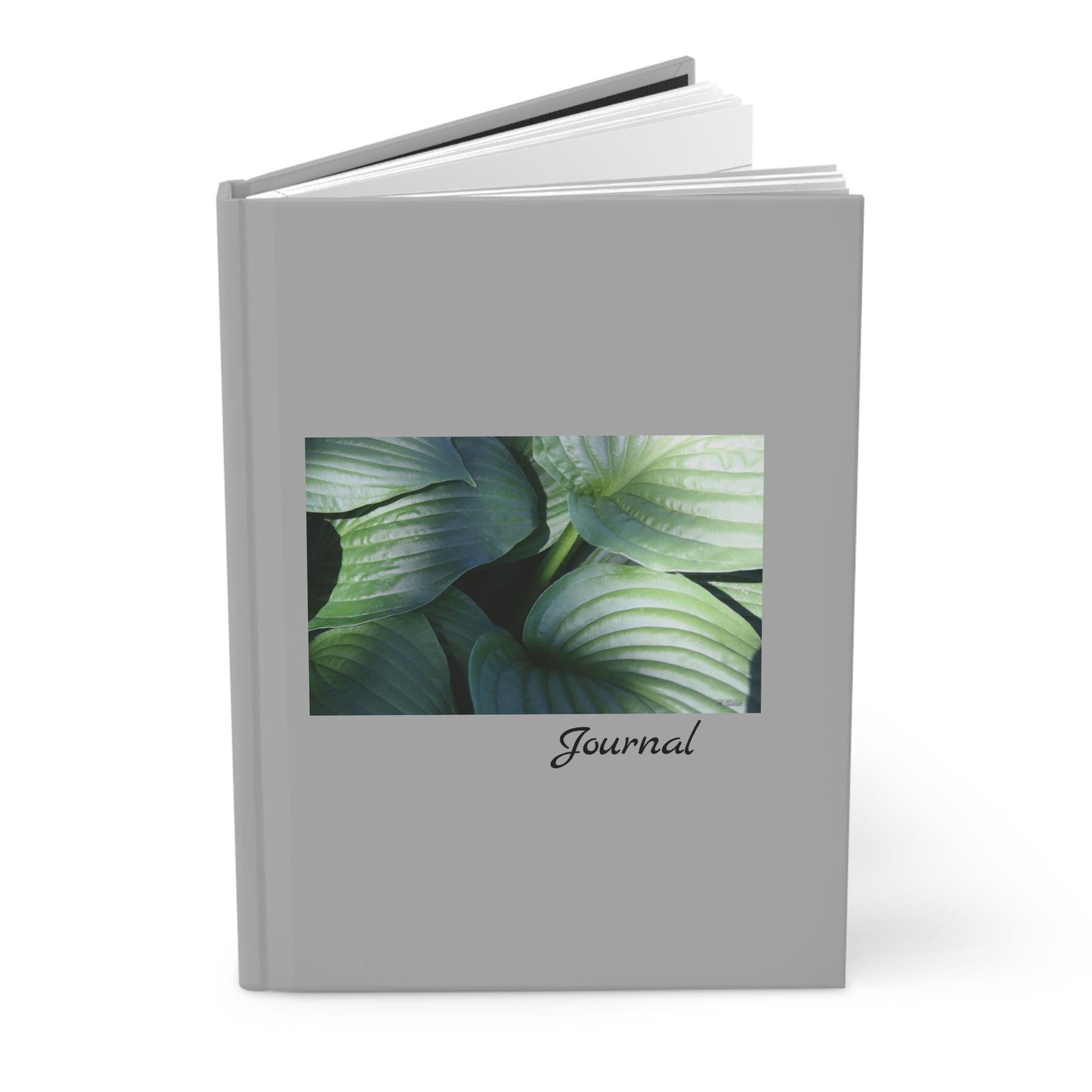 Leaves - Journal