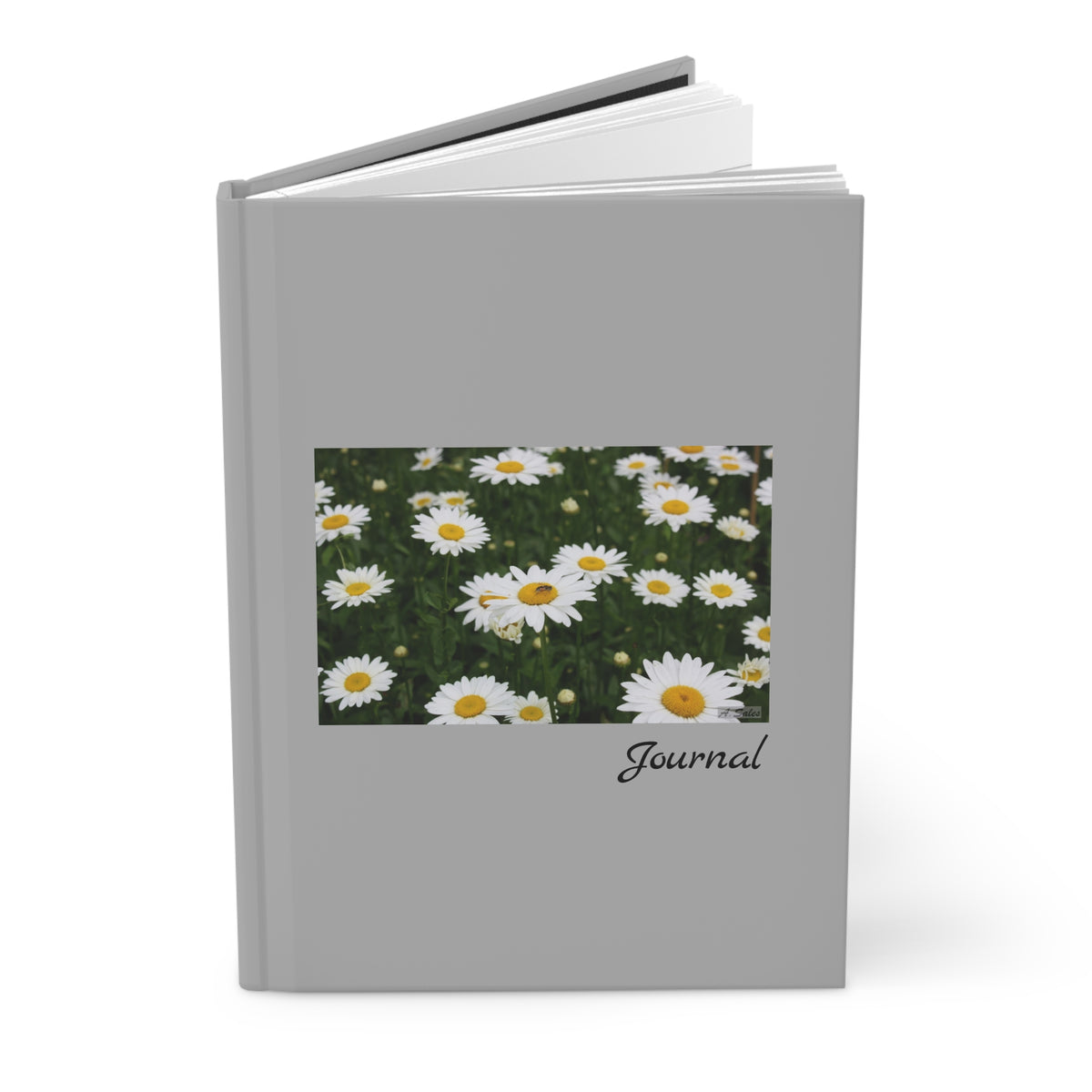 Field of Daisies - Journal