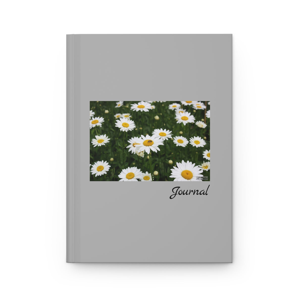 Field of Daisies - Journal