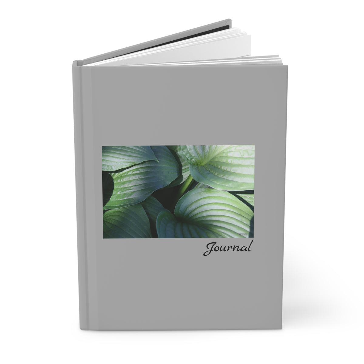 Leaves - Journal