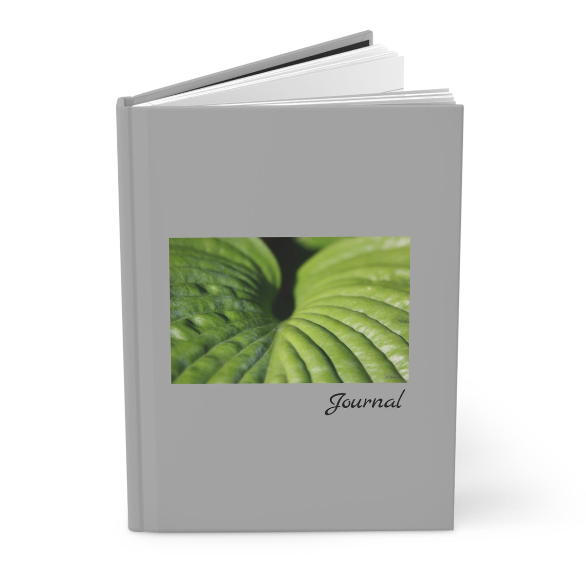 Leaf  - Journal