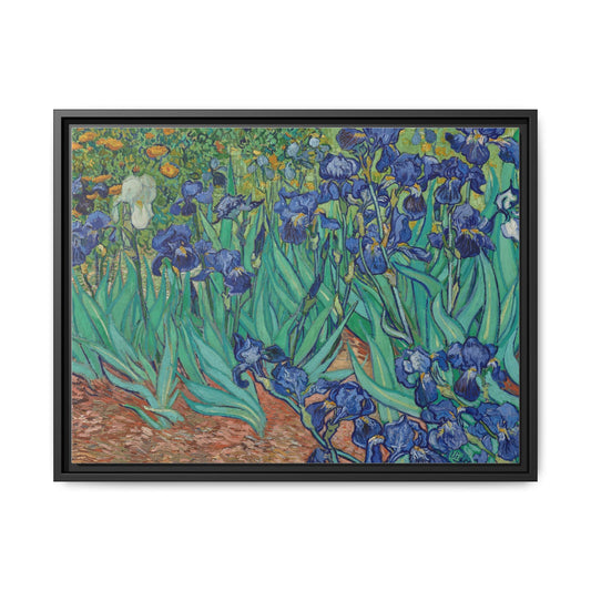 Irises 1889 - Van Gogh, Matte Canvas, Black Frame