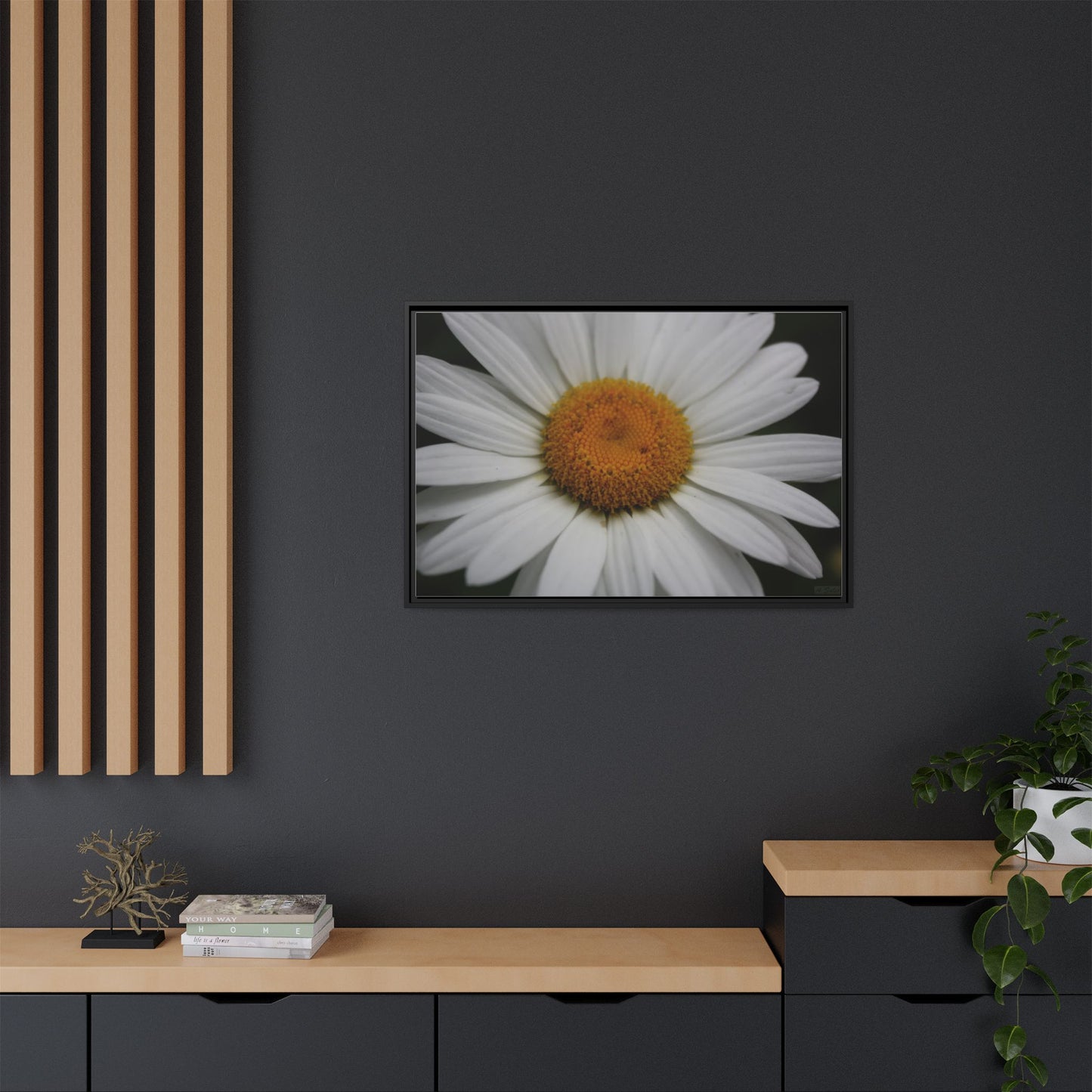 Daisy, Matte Canvas, Black Frame