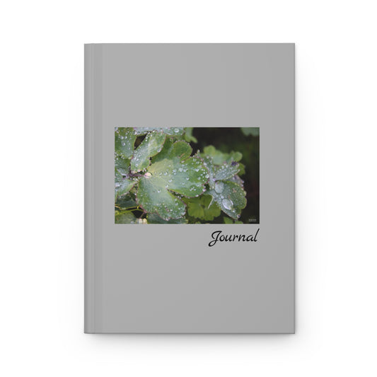 Water and Leaves - Journal