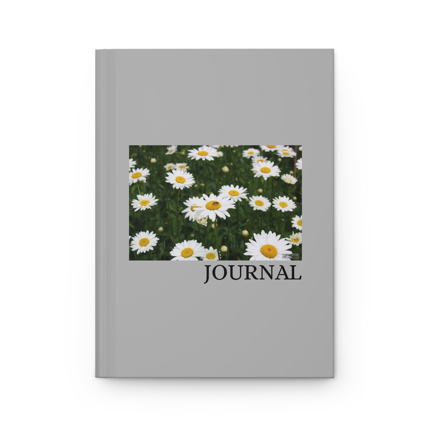 Field of Daisies - Journal
